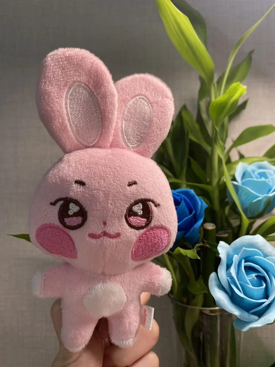 Kpop Aniteez Kawaii Stuffed Animals Plushies Toy Room Decor Hongjoong Seonghwa Yunho Yeosang San Ming Wooyoung Jongho Plu SS69 8.69 10cm A / about 10-25cm
