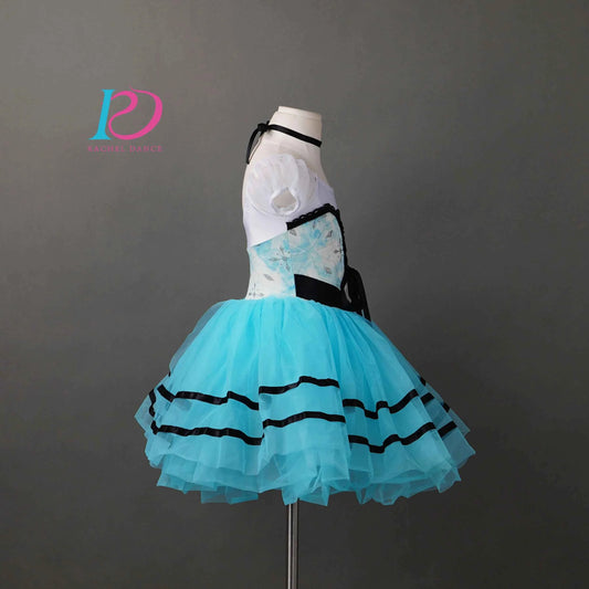 Girls Ladies Women Ballet Dance Dress Ballet Skirt Tutu Skirt Dance Costume Performance Wear