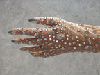 Women's Rhinestone Mesh Opera Gloves - Sparkling Crystal Long Stretch
