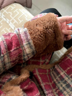 Women's Double Breasted Plaid Coat, Woolen Jacket , V-Neck, Loose Tops, Female Clothes, Sweet, New, Autumn, Winter