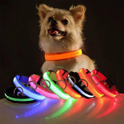 USB Charging LED Dog Collar Dog Safety Night Light Flashing Necklace Fluorescent Collars Pet Supplies SS69 15.69 Red / XL NECK 42-56 CM / korea