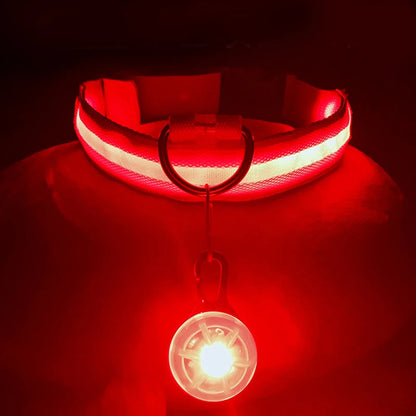Usb Charging Glowing Dog Collar With Pendant Detachable Luxury Led Light Bright For Small Dogs Cat Night Safety Collar Wholesale SS69