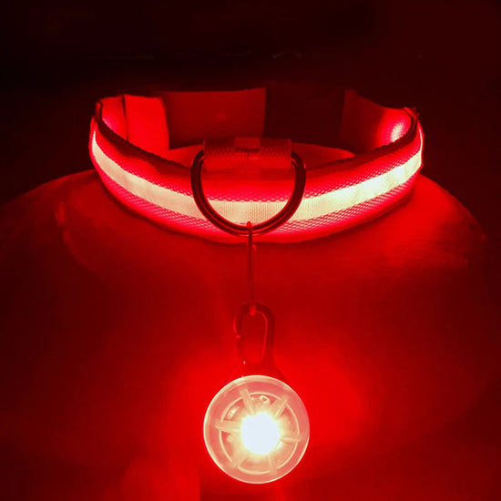 Usb Charging Glowing Dog Collar With Pendant Detachable Luxury Led Light Bright For Small Dogs Cat Night Safety Collar Wholesale SS69