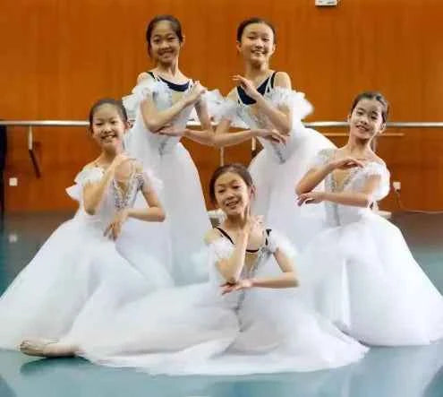 White Ballet Dress Long Romantic Ballet Tutu Professional Swan Lake Ballerine Femme Children Girls Fairy Ballet Costume