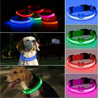 USB Charging LED Dog Collar Dog Safety Night Light Flashing Necklace Fluorescent Collars Pet Supplies SS69