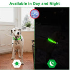 Usb Charging Glowing Dog Collar With Pendant Detachable Luxury Led Light Bright For Small Dogs Cat Night Safety Collar Wholesale SS69