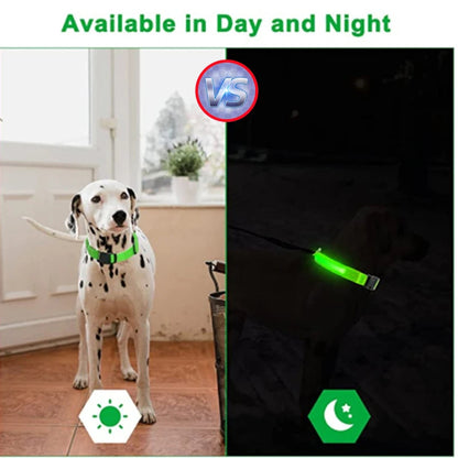 Usb Charging Glowing Dog Collar With Pendant Detachable Luxury Led Light Bright For Small Dogs Cat Night Safety Collar Wholesale SS69