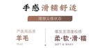 Autumn And Winter100% Pure Wool Skirt Women's Long Pocket Small A Skirt High Waist Slim Cashmere Knit A-Line Skirt