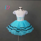 Girls Ladies Women Ballet Dance Dress Ballet Skirt Tutu Skirt Dance Costume Performance Wear