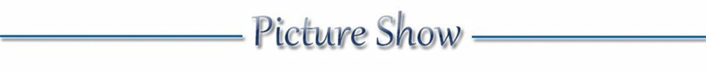 Usb Charging Glowing Dog Collar With Pendant Detachable Luxury Led Light Bright For Small Dogs Cat Night Safety Collar Wholesale SS69