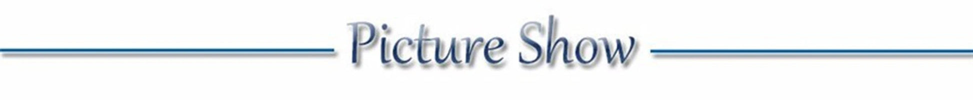 Usb Charging Glowing Dog Collar With Pendant Detachable Luxury Led Light Bright For Small Dogs Cat Night Safety Collar Wholesale SS69