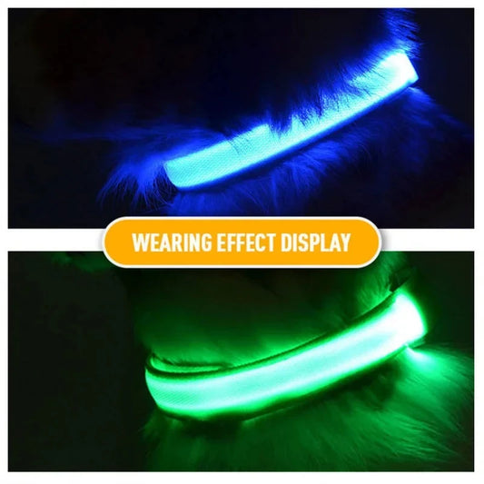 USB Charging LED Dog Collar Dog Safety Night Light Flashing Necklace Fluorescent Collars Pet Supplies SS69