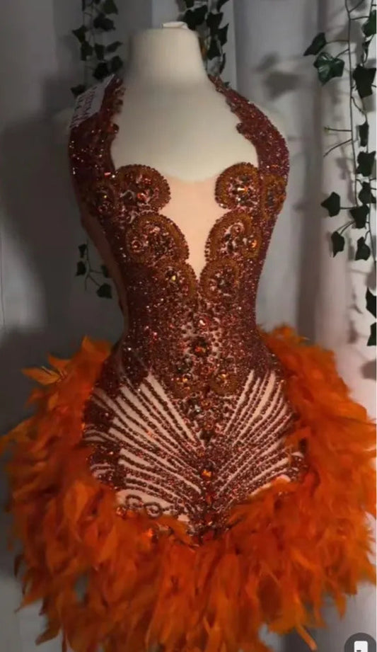 Sparkly Cute Sleeveless Women Birthday Party Formal Gowns Luxury Pink Diamond Feather Short Mini Prom Dress 2025 For Black Girls SS69 234.69 Red / 14