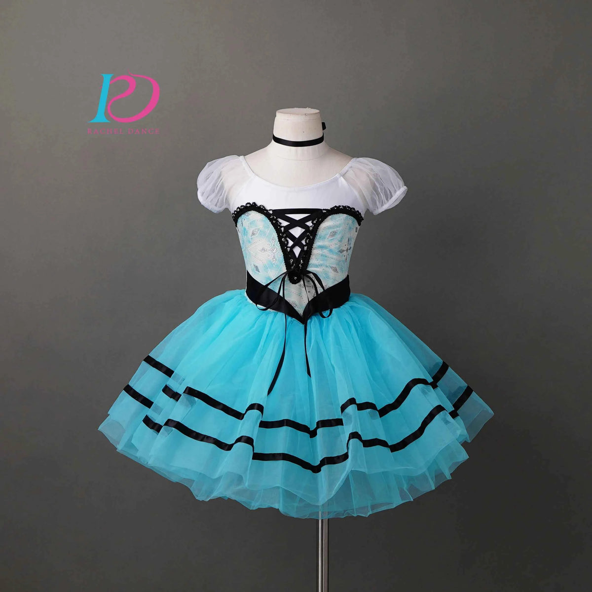 Girls Ladies Women Ballet Dance Dress Ballet Skirt Tutu Skirt Dance Costume Performance Wear