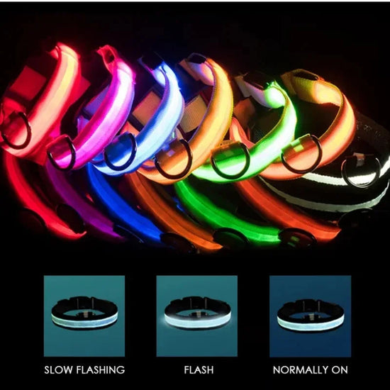 USB Charging LED Dog Collar Dog Safety Night Light Flashing Necklace Fluorescent Collars Pet Supplies SS69