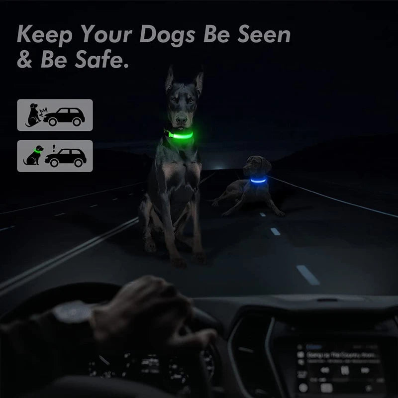 Usb Charging Glowing Dog Collar With Pendant Detachable Luxury Led Light Bright For Small Dogs Cat Night Safety Collar Wholesale SS69