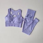 2PCS Sports Bra Women's Set Professional Fitness Tank Top Bra Shockproof Running Leggings Yoga Suit Beautiful Back Bra Clothing - SS69