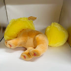 Anime Eeveelution Eevee Espeon Umbreon  Vaporeon Peluche Doll Sylveon Sprigatito Charizard Plush Toys Stuffed Plushies Doll Gift