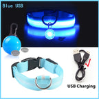 Usb Charging Glowing Dog Collar With Pendant Detachable Luxury Led Light Bright For Small Dogs Cat Night Safety Collar Wholesale SS69