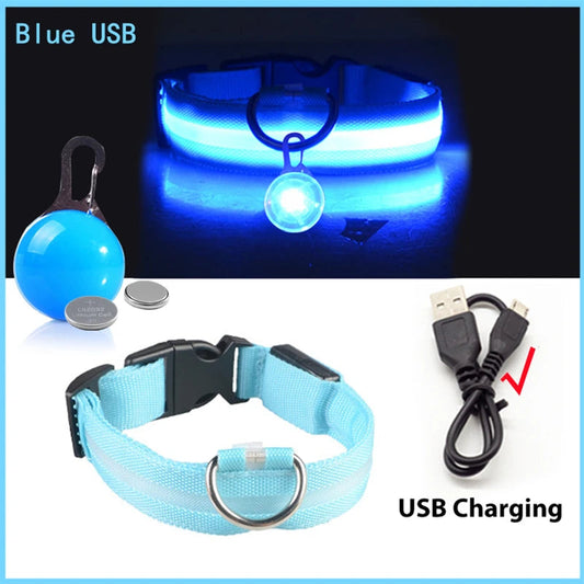 Usb Charging Glowing Dog Collar With Pendant Detachable Luxury Led Light Bright For Small Dogs Cat Night Safety Collar Wholesale SS69