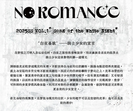 NO ROMANCE Fairy Sexy Punk Printing Half Transparent Lace Patch Knitted Long Sleeve Hooded Dresses Rock Gothic Design Vestidos SS69