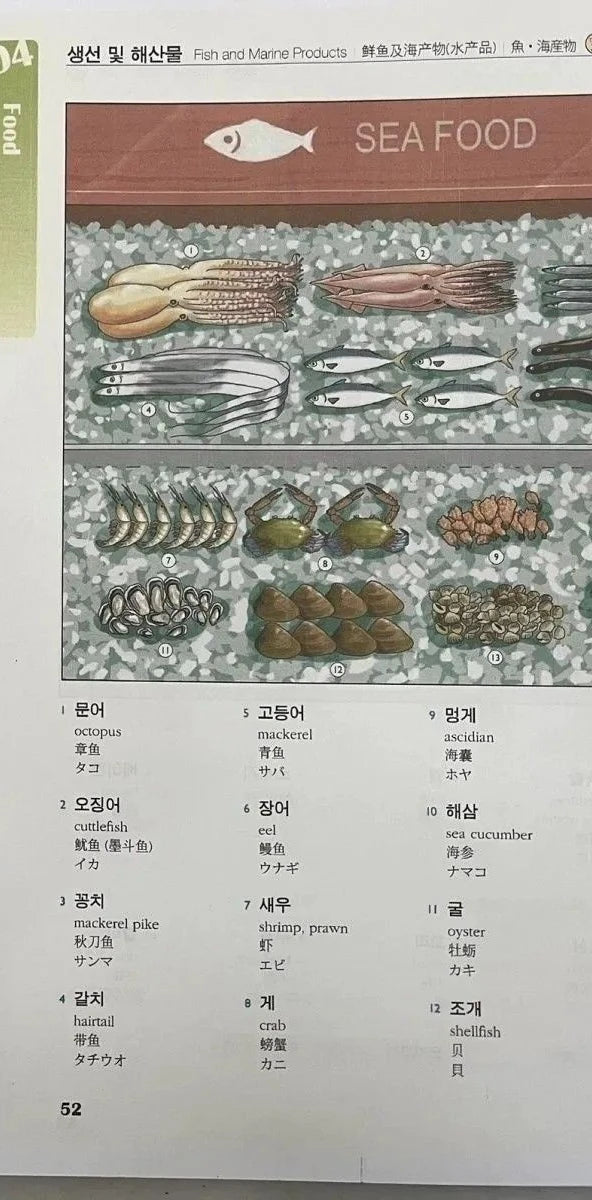 Korean picture dictionary Interest Comics book Learn Korean vocabulary visually Definitions in English Chinese Japanese SS69