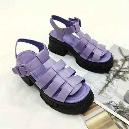 Women's Solid Color Chunky Heel Sandals, Fashion Open Toe Summer Shoes, Comfortable Buckle Strap Sandals SS69