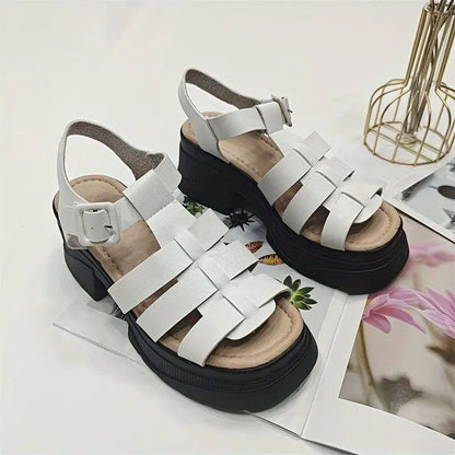Women's Solid Color Chunky Heel Sandals, Fashion Open Toe Summer Shoes, Comfortable Buckle Strap Sandals SS69