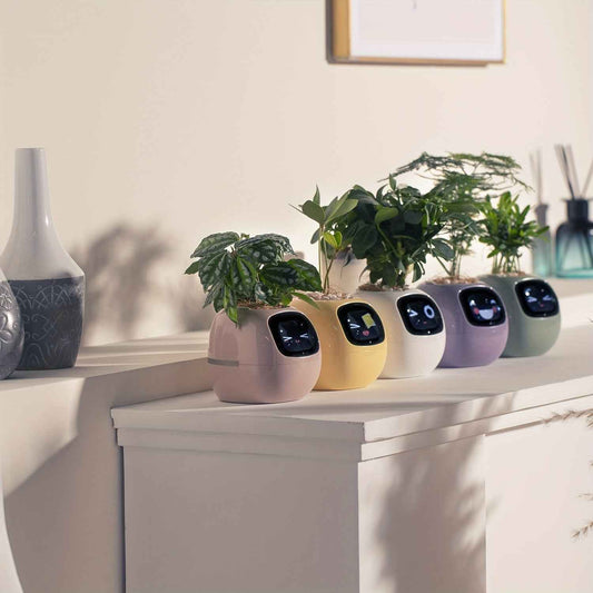 Cubidupi Smart Mini Planter Robot - Self-Watering Electronic Pet Plant Pot with Alerts, /Outdoor Plant Care, Cute Desktop Greenery Companion for Home, Office, Room - Low-Maintenance Gift (Compatible with Smart