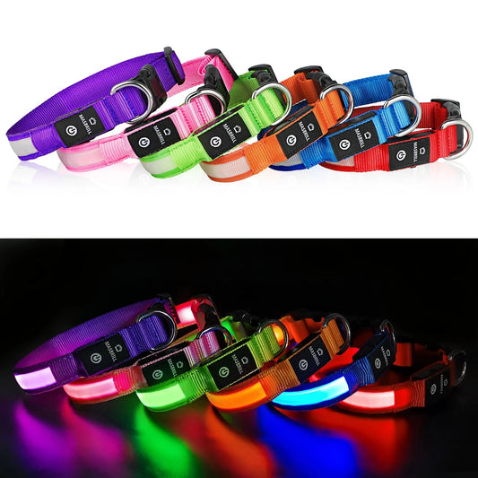MASBRILL Dog Collar Luminous Pet Supplies Dog Collar Waterpoof Safety Collars dropship - SS69