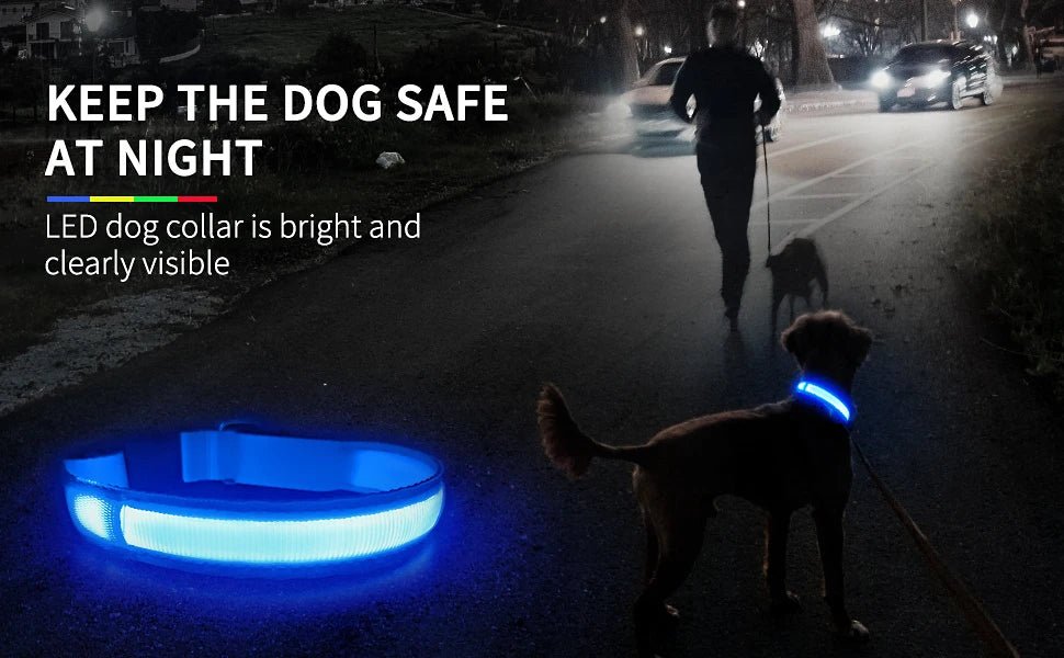 MASBRILL Dog Collar Luminous Pet Supplies Dog Collar Waterpoof Safety Collars dropship - SS69