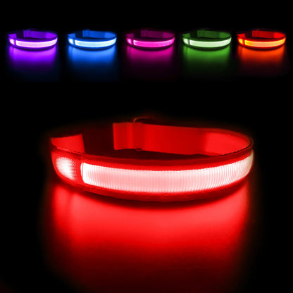 MASBRILL Dog Collar Luminous Pet Supplies Dog Collar Waterpoof Safety Collars dropship - SS69