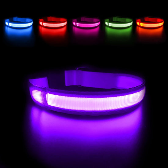 MASBRILL Dog Collar Luminous Pet Supplies Dog Collar Waterpoof Safety Collars dropship - SS69