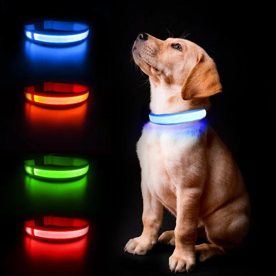 MASBRILL Dog Collar Luminous Pet Supplies Dog Collar Waterpoof Safety Collars dropship - SS69