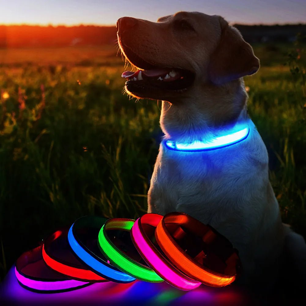 MASBRILL Dog Collar Luminous Pet Supplies Dog Collar Waterpoof Safety Collars dropship - SS69