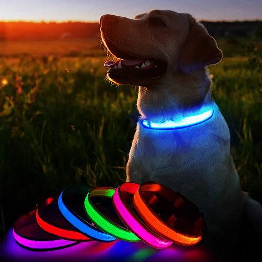 MASBRILL Dog Collar Luminous Pet Supplies Dog Collar Waterpoof Safety Collars dropship - SS69