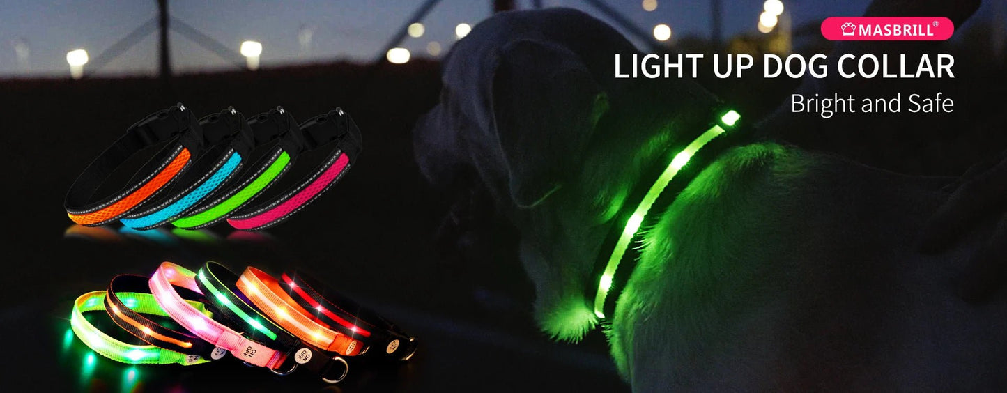 MASBRILL Dog Collar Luminous Pet Supplies Dog Collar Waterpoof Safety Collars dropship - SS69