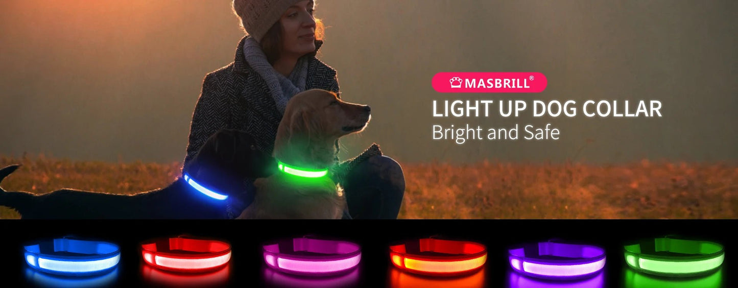 MASBRILL Dog Collar Luminous Pet Supplies Dog Collar Waterpoof Safety Collars dropship - SS69
