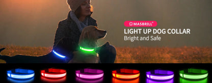MASBRILL Dog Collar Luminous Pet Supplies Dog Collar Waterpoof Safety Collars dropship - SS69