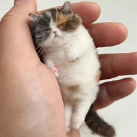 Note: This Is a DIY Material Pack, Cat Needle Felt Handmade DIY Kit, Handmade Craft Kit for Beginners And Adults, Unique Animal Felt Kit, Including Hand Needles, Pincushions, Matching Felt And Instruction Manual - SS69