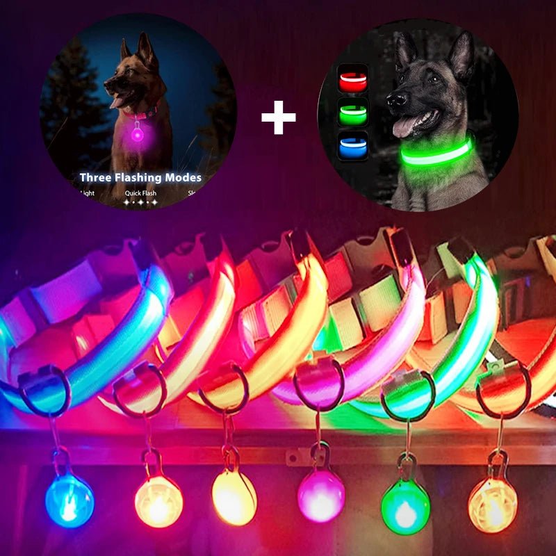 Usb Charging Glowing Dog Collar With Pendant Detachable Luxury Led Light Bright For Small Dogs Cat Night Safety Collar Wholesale - SS69