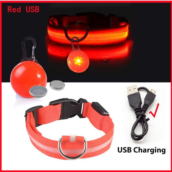 Usb Charging Glowing Dog Collar With Pendant Detachable Luxury Led Light Bright For Small Dogs Cat Night Safety Collar Wholesale - SS69