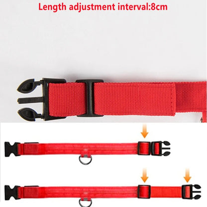 Usb Charging Glowing Dog Collar With Pendant Detachable Luxury Led Light Bright For Small Dogs Cat Night Safety Collar Wholesale - SS69