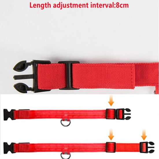 Usb Charging Glowing Dog Collar With Pendant Detachable Luxury Led Light Bright For Small Dogs Cat Night Safety Collar Wholesale - SS69