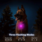 Usb Charging Glowing Dog Collar With Pendant Detachable Luxury Led Light Bright For Small Dogs Cat Night Safety Collar Wholesale - SS69