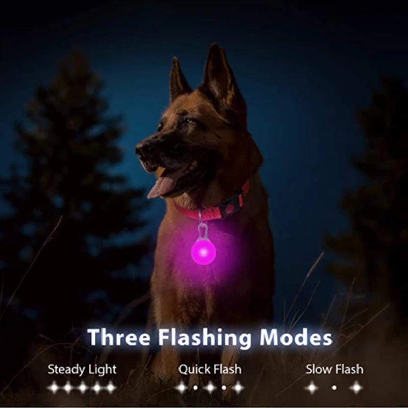 Usb Charging Glowing Dog Collar With Pendant Detachable Luxury Led Light Bright For Small Dogs Cat Night Safety Collar Wholesale - SS69