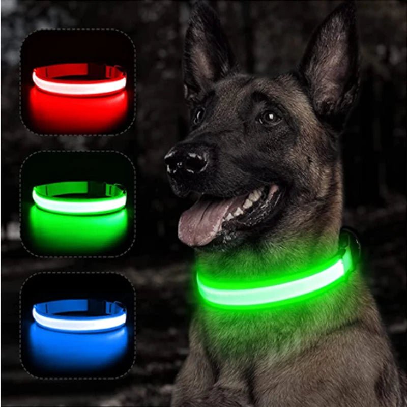 Usb Charging Glowing Dog Collar With Pendant Detachable Luxury Led Light Bright For Small Dogs Cat Night Safety Collar Wholesale - SS69