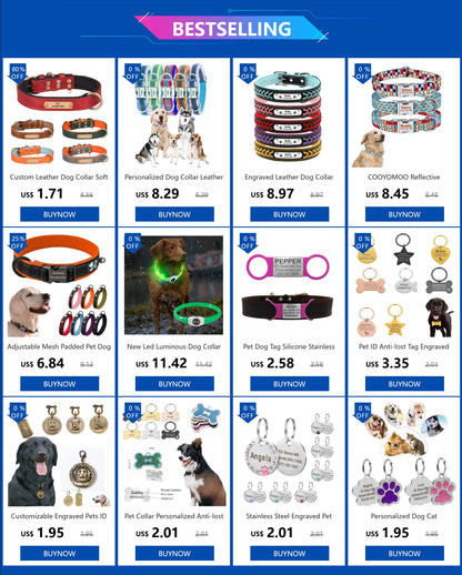 Usb Charging Glowing Dog Collar With Pendant Detachable Luxury Led Light Bright For Small Dogs Cat Night Safety Collar Wholesale - SS69