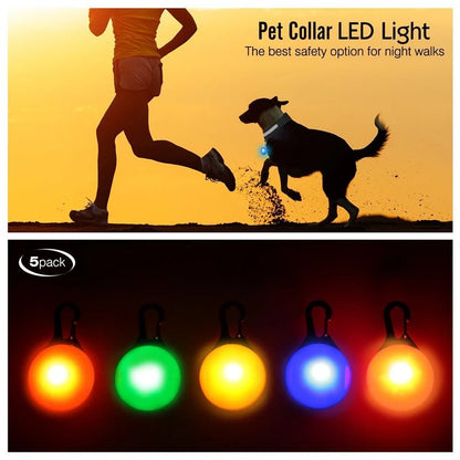 Usb Charging Glowing Dog Collar With Pendant Detachable Luxury Led Light Bright For Small Dogs Cat Night Safety Collar Wholesale - SS69