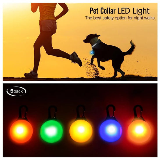 Usb Charging Glowing Dog Collar With Pendant Detachable Luxury Led Light Bright For Small Dogs Cat Night Safety Collar Wholesale - SS69
